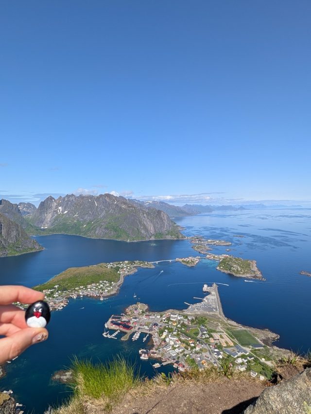 Hand-painted penguin stone #431 hidden at Reinebringen, Reine, Norway (photo 3 of 5)