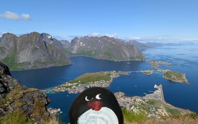 Hand-painted penguin stone #431 hidden at Reinebringen, Reine, Norway
