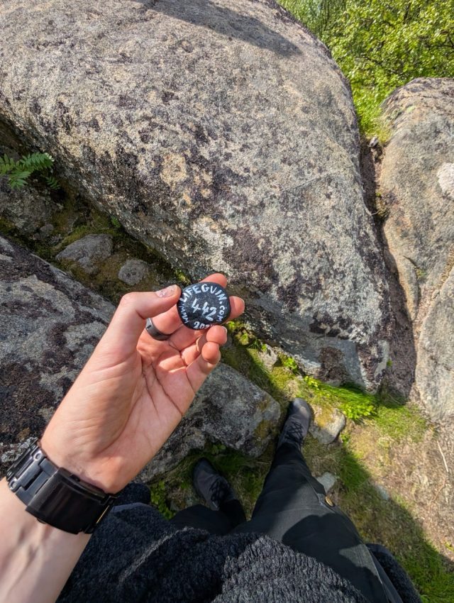 Hand-painted penguin stone #442 hidden at Festvagtind Trail, Heiavatnet, Norway (photo 3 of 5)