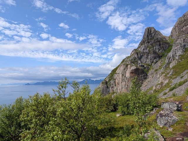 Hand-painted penguin stone #442 hidden at Festvagtind Trail, Heiavatnet, Norway (photo 4 of 5)