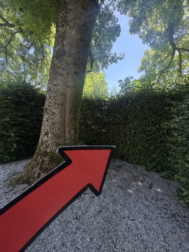 Hand-painted penguin stone #443 hidden at Admont Abbey, Admont, Austria (photo 5 of 5)