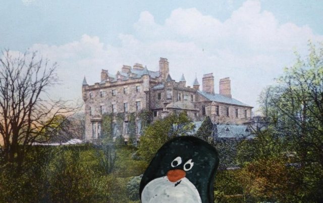 Ručne maľovaný tučniakový kameň č. 477 ukrytý na mieste The Tombs, Coatbridge, Spojené kráľovstvo