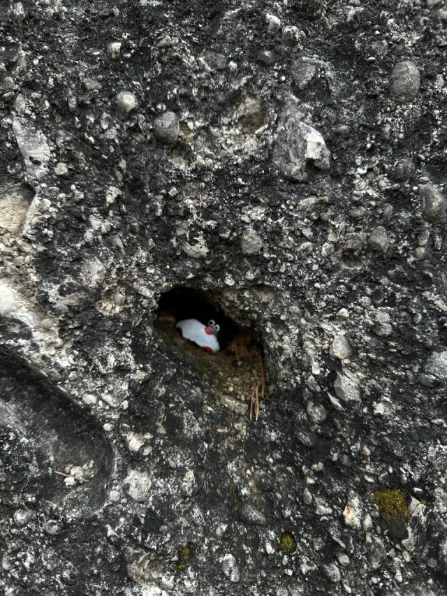 Hand-painted penguin stone #479 hidden at Gothic Arch, Sulov Rocks, Slovakia (photo 3 of 5)