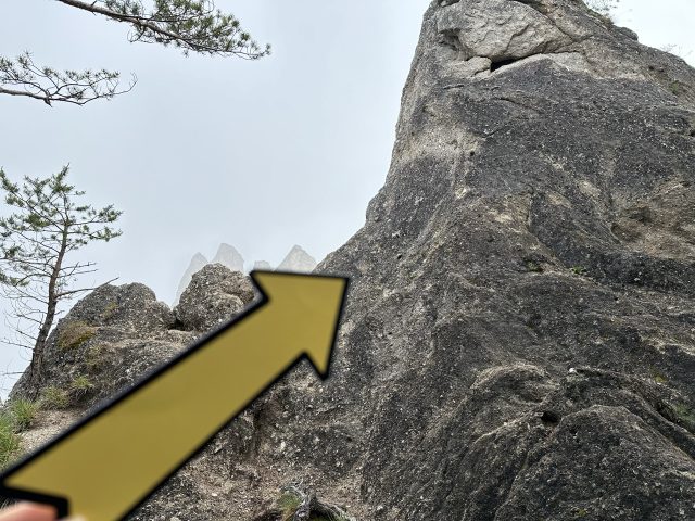 Hand-painted penguin stone #479 hidden at Gothic Arch, Sulov Rocks, Slovakia (photo 4 of 5)