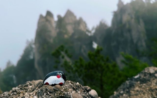 Hand-painted penguin stone #479 hidden at Gothic Arch, Sulov Rocks, Slovakia