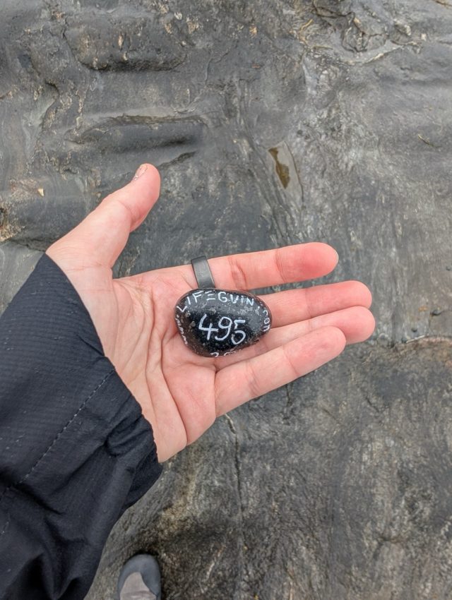 Hand-painted penguin stone #495 hidden at Framneslia, Narvik, Norway (photo 4 of 5)