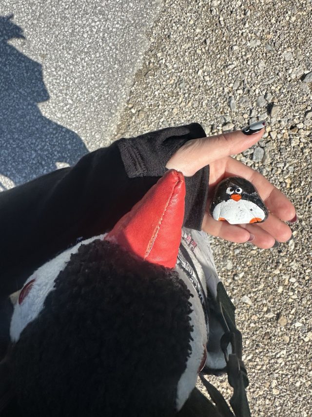 Hand-painted penguin stone #524 hidden at Grosssee, Tauplitzalm plateau, Austria (photo 5 of 5)