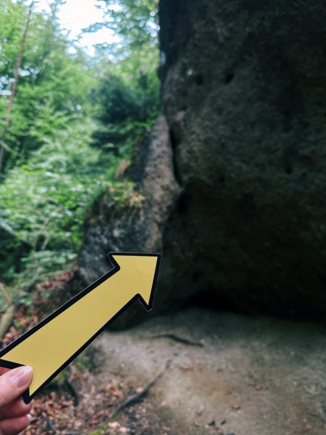 Hand-painted penguin stone #533 hidden at Rock Formation, Sulov Rocks, Slovakia (photo 4 of 5)