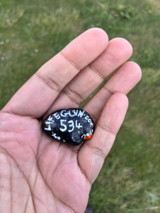Hand-painted penguin stone #534 hidden at Girdle Ness Lighthouse, Aberdeen, United Kingdom (photo 3 of 4)