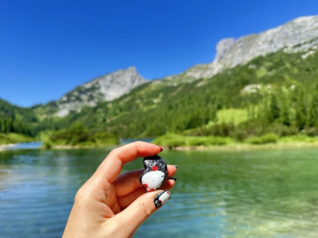 Hand-painted penguin stone #540 hidden at Schwarzensee, Tauplitzalm plateau, Austria (photo 2 of 5)