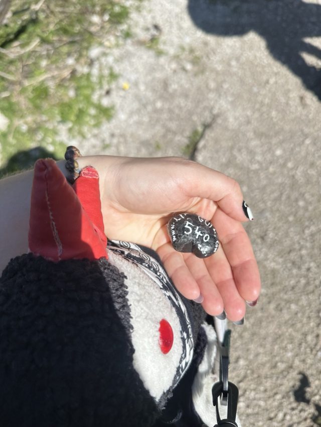 Hand-painted penguin stone #540 hidden at Schwarzensee, Tauplitzalm plateau, Austria (photo 3 of 5)
