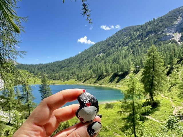 Hand-painted penguin stone #540 hidden at Schwarzensee, Tauplitzalm plateau, Austria (photo 5 of 5)