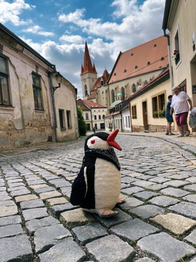 Hand-painted penguin stone #560 hidden at St. Nicholas' Deanery Church, Znojmo, Czechia (photo 4 of 5)