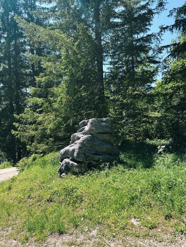 Hand-painted penguin stone #561 hidden at Crossing, Bad Mitterndorf, Austria (photo 2 of 5)