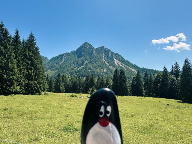 Hand-painted penguin stone #561 hidden at Crossing, Bad Mitterndorf, Austria (photo 3 of 5)