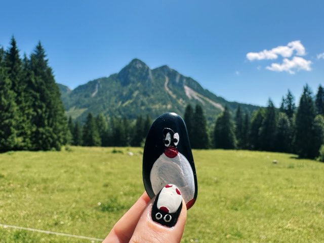 Hand-painted penguin stone #561 hidden at Crossing, Bad Mitterndorf, Austria (photo 4 of 5)