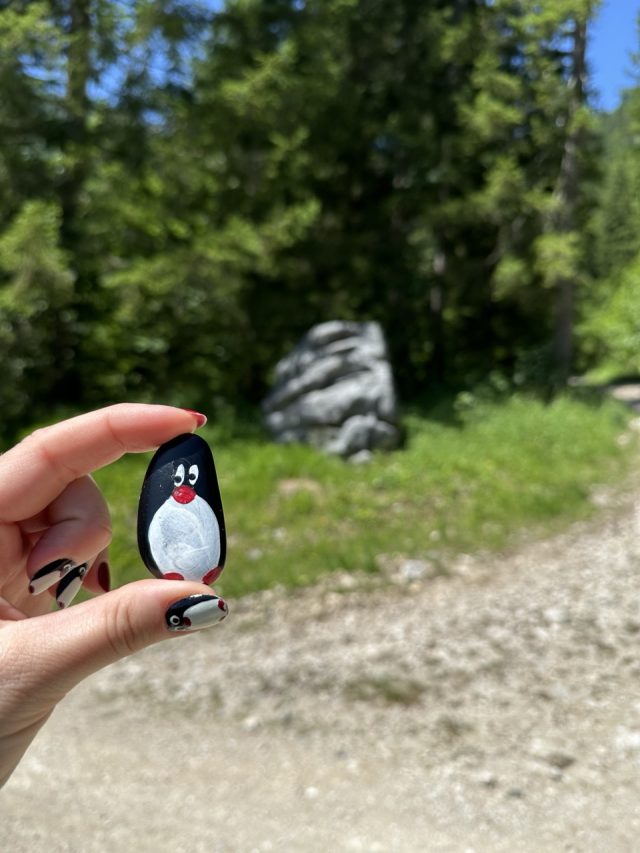 Hand-painted penguin stone #561 hidden at Crossing, Bad Mitterndorf, Austria (photo 5 of 5)