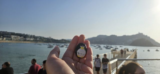 Ručne maľovaný tučniakový kameň č. 562 ukrytý na mieste Mirador Club Nautico, San Sebastian, Španielsko (fotka 2 z 5)
