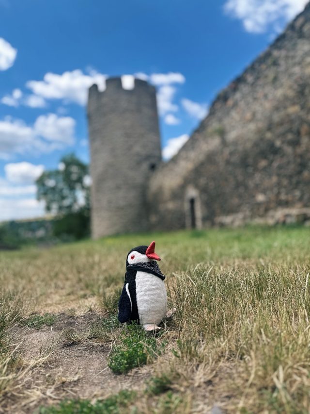 Hand-painted penguin stone #566 hidden at Dog Tower, Znojmo, Czechia (photo 2 of 5)