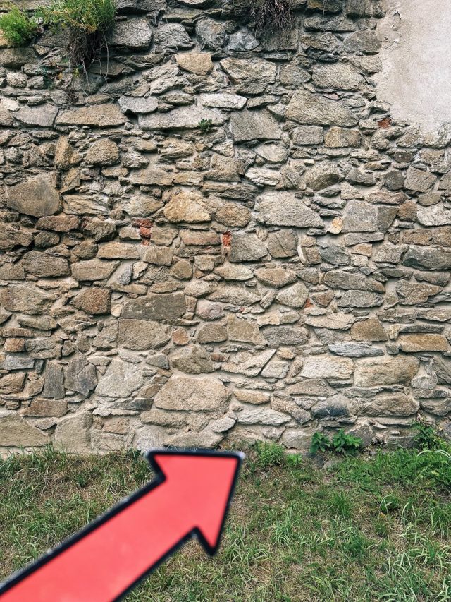 Hand-painted penguin stone #566 hidden at Dog Tower, Znojmo, Czechia (photo 3 of 5)