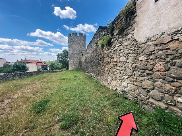 Hand-painted penguin stone #566 hidden at Dog Tower, Znojmo, Czechia (photo 4 of 5)