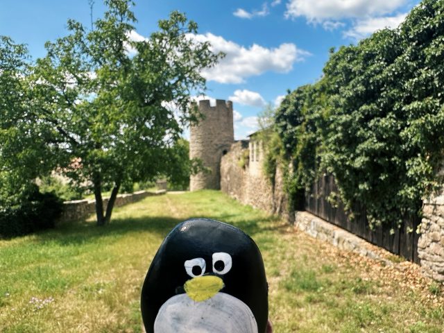 Hand-painted penguin stone #566 hidden at Dog Tower, Znojmo, Czechia (photo 5 of 5)