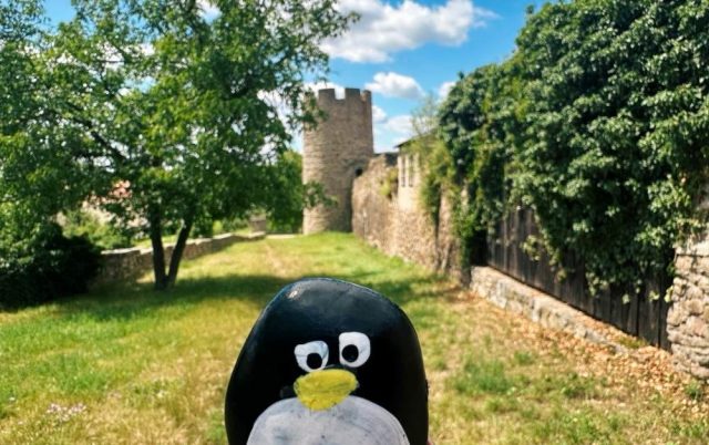 Ručne maľovaný tučniakový kameň č. 566 ukrytý na mieste Dog Tower, Znojmo, Česko
