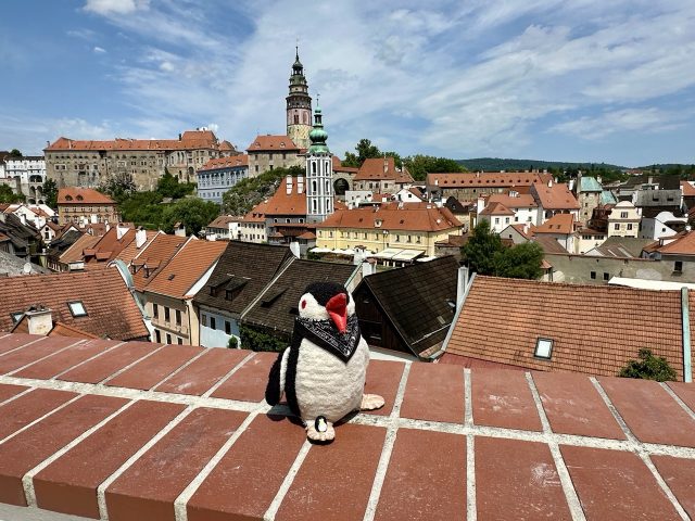 Hand-painted penguin stone #579 hidden at Seminarni zahrada Viewpoint, Cesky Krumlov, Czechia (photo 5 of 5)