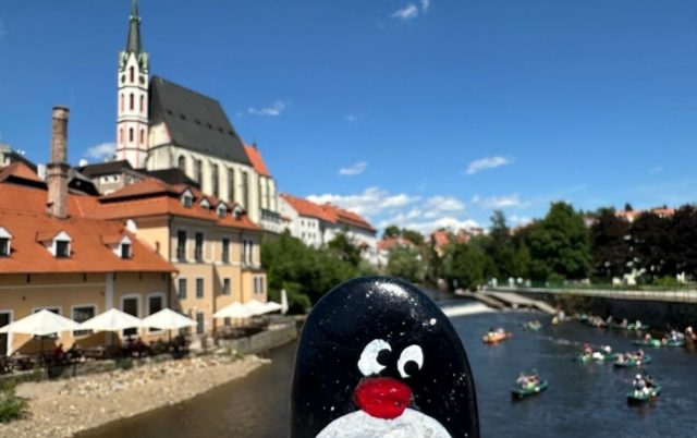 Hand-painted penguin stone #586 hidden at Cloak Bridge, Cesky Krumlov, Czechia