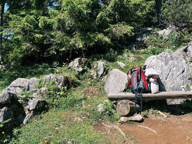 Hand-painted penguin stone #593 hidden at Steirersee Viewpoint, Tauplitzalm plateau, Austria (photo 2 of 5)