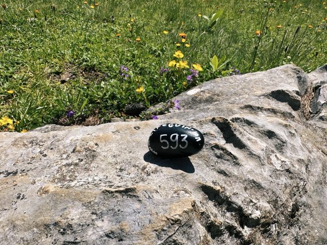 Hand-painted penguin stone #593 hidden at Steirersee Viewpoint, Tauplitzalm plateau, Austria (photo 3 of 5)