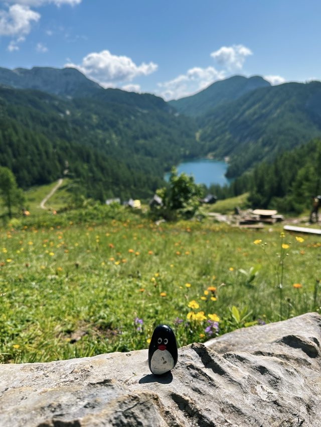 Hand-painted penguin stone #593 hidden at Steirersee Viewpoint, Tauplitzalm plateau, Austria (photo 5 of 5)
