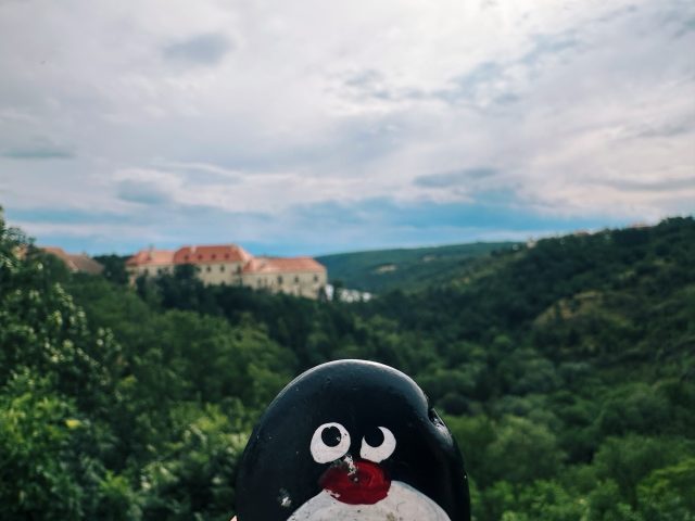 Hand-painted penguin stone #596 hidden at Granice, Znojmo, Czechia (photo 3 of 5)