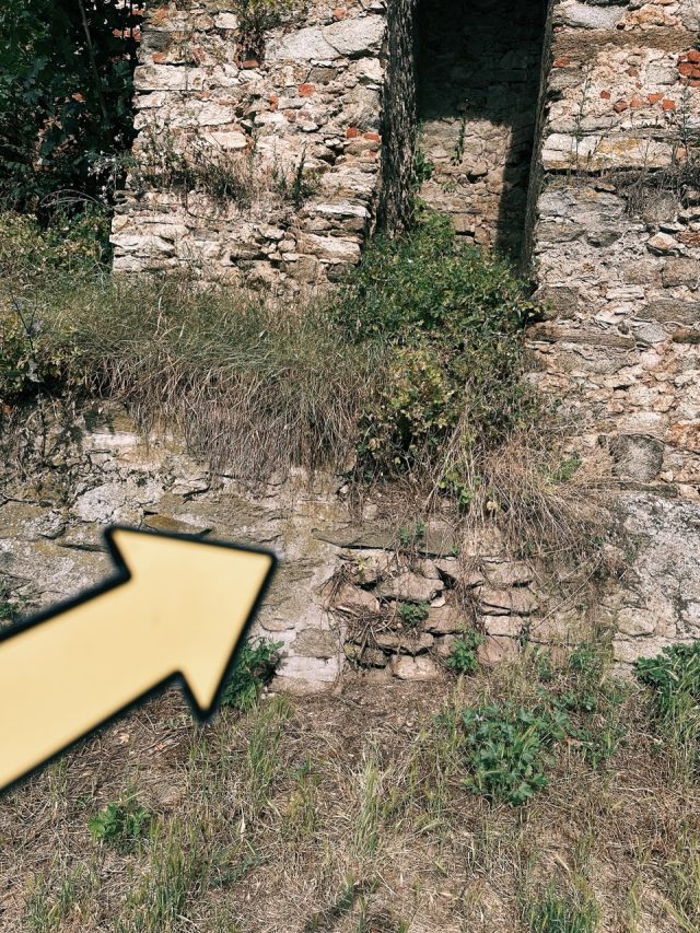 Hand-painted penguin stone #596 hidden at Granice, Znojmo, Czechia (photo 5 of 5)