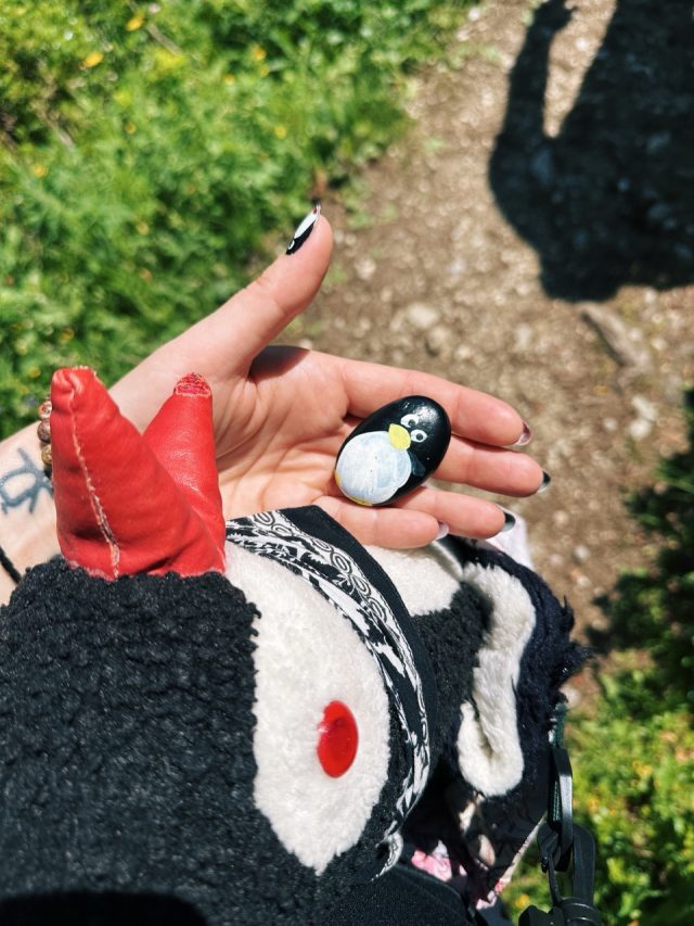 Hand-painted penguin stone #607 hidden at Steirersee, Tauplitzalm plateau, Austria (photo 2 of 5)