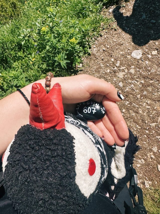 Hand-painted penguin stone #607 hidden at Steirersee, Tauplitzalm plateau, Austria (photo 3 of 5)