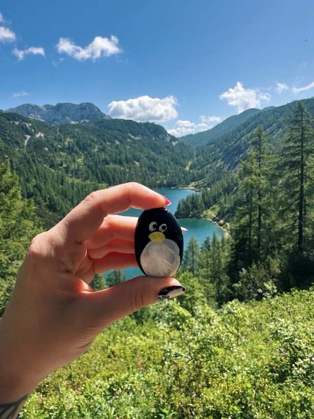 Hand-painted penguin stone #607 hidden at Steirersee, Tauplitzalm plateau, Austria (photo 4 of 5)