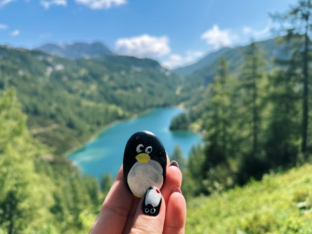 Hand-painted penguin stone #607 hidden at Steirersee, Tauplitzalm plateau, Austria (photo 5 of 5)