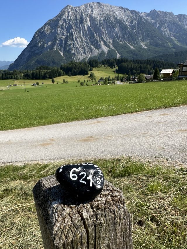 Hand-painted penguin stone #621 hidden at Trees, Tauplitz, Austria (photo 4 of 5)