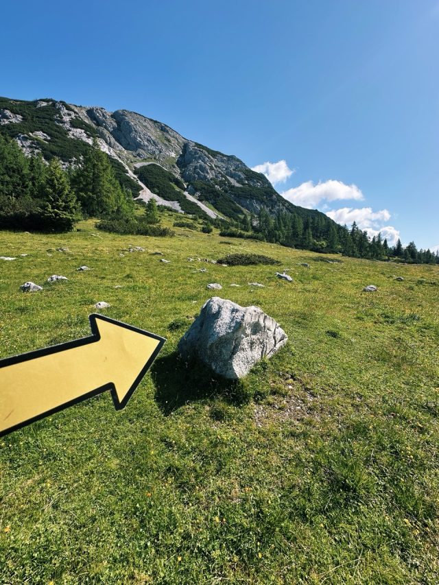 Hand-painted penguin stone #633 hidden at Grazer Hutte, Tauplitzalm plateau, Austria (photo 2 of 5)