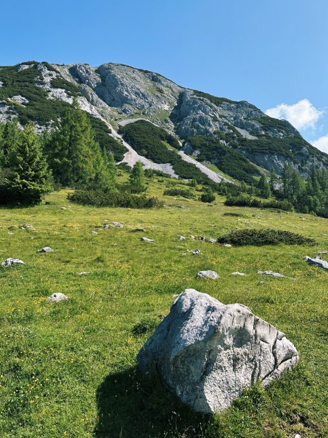 Hand-painted penguin stone #633 hidden at Grazer Hutte, Tauplitzalm plateau, Austria (photo 3 of 5)