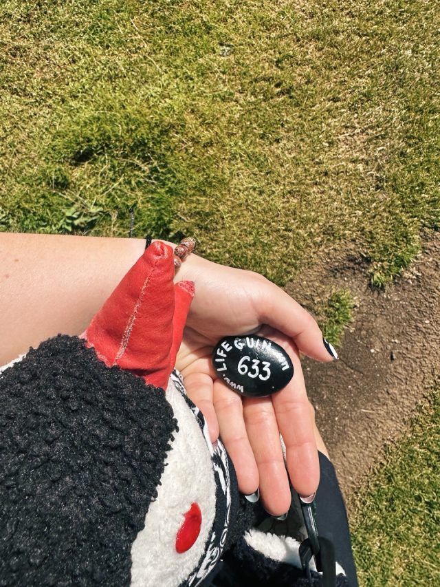 Hand-painted penguin stone #633 hidden at Grazer Hutte, Tauplitzalm plateau, Austria (photo 4 of 5)