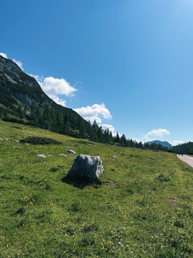 Hand-painted penguin stone #633 hidden at Grazer Hutte, Tauplitzalm plateau, Austria (photo 5 of 5)