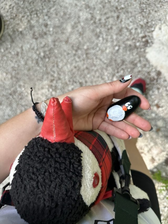 Hand-painted penguin stone #635 hidden at Waterfall, Hallstatt, Austria (photo 2 of 5)