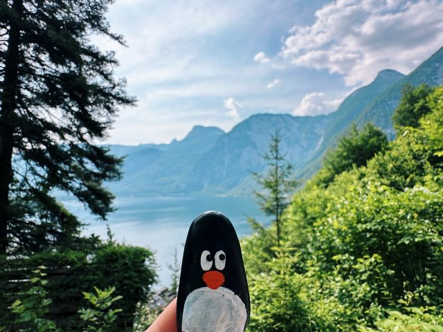 Hand-painted penguin stone #635 hidden at Waterfall, Hallstatt, Austria (photo 4 of 5)