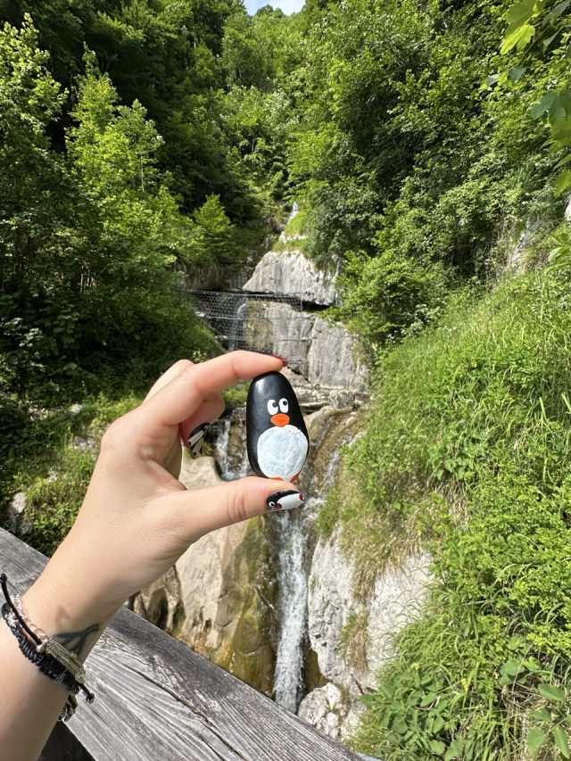 Hand-painted penguin stone #635 hidden at Waterfall, Hallstatt, Austria (photo 5 of 5)