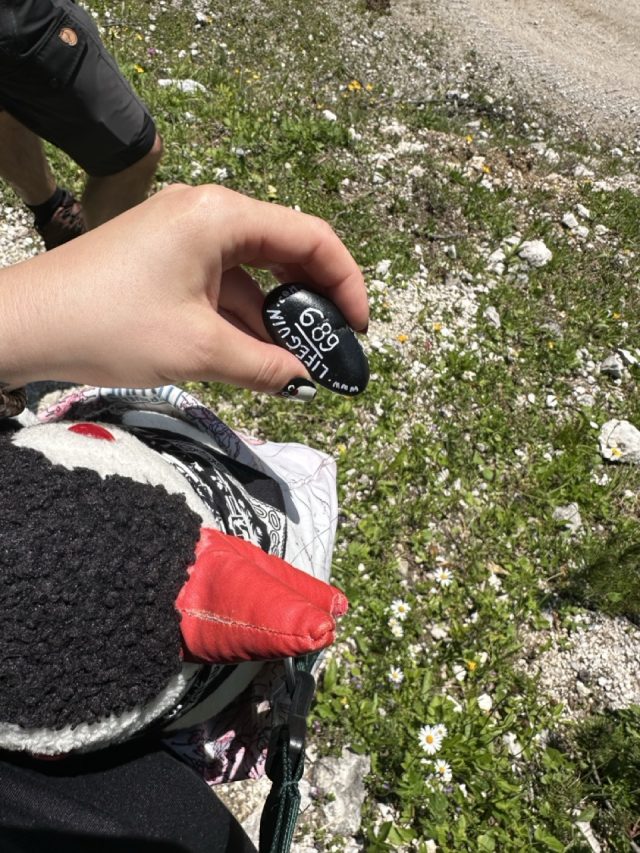 Hand-painted penguin stone #689 hidden at Downhill Hike, Bad Mitterndorf, Austria (photo 2 of 5)
