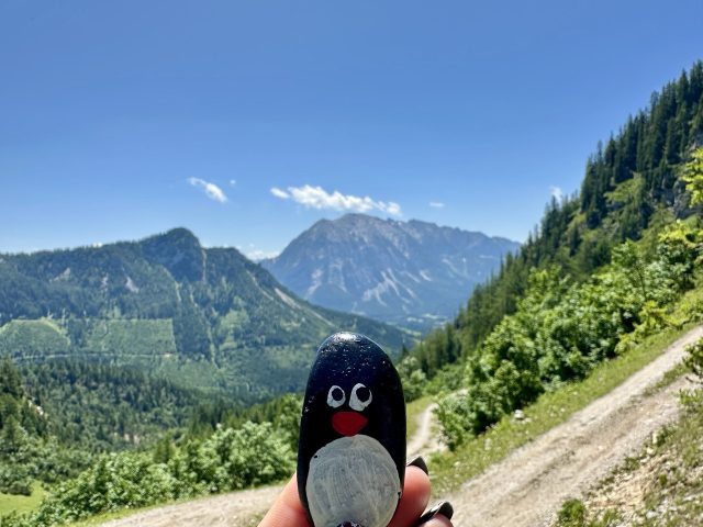 Hand-painted penguin stone #689 hidden at Downhill Hike, Bad Mitterndorf, Austria (photo 3 of 5)