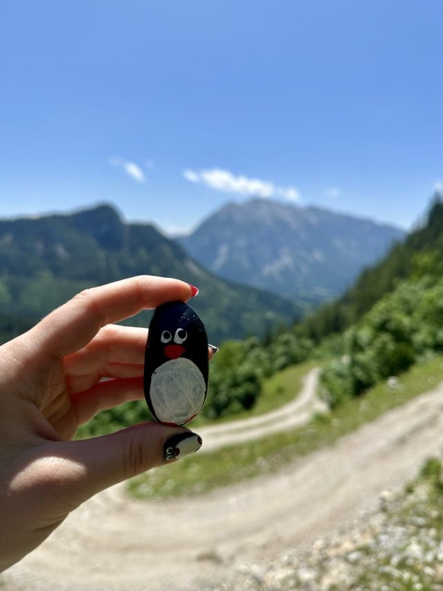 Hand-painted penguin stone #689 hidden at Downhill Hike, Bad Mitterndorf, Austria (photo 4 of 5)