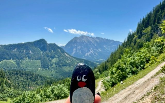 Ručne maľovaný tučniakový kameň č. 689 ukrytý na mieste Downhill Hike, Bad Mitterndorf, Rakúsko